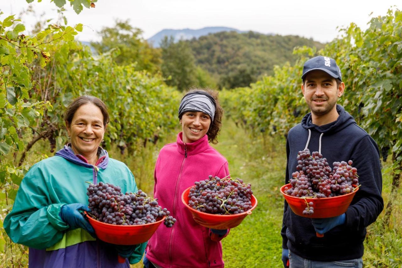 Agriturismo Agricamping Garda Natura Костермано Екстер'єр фото